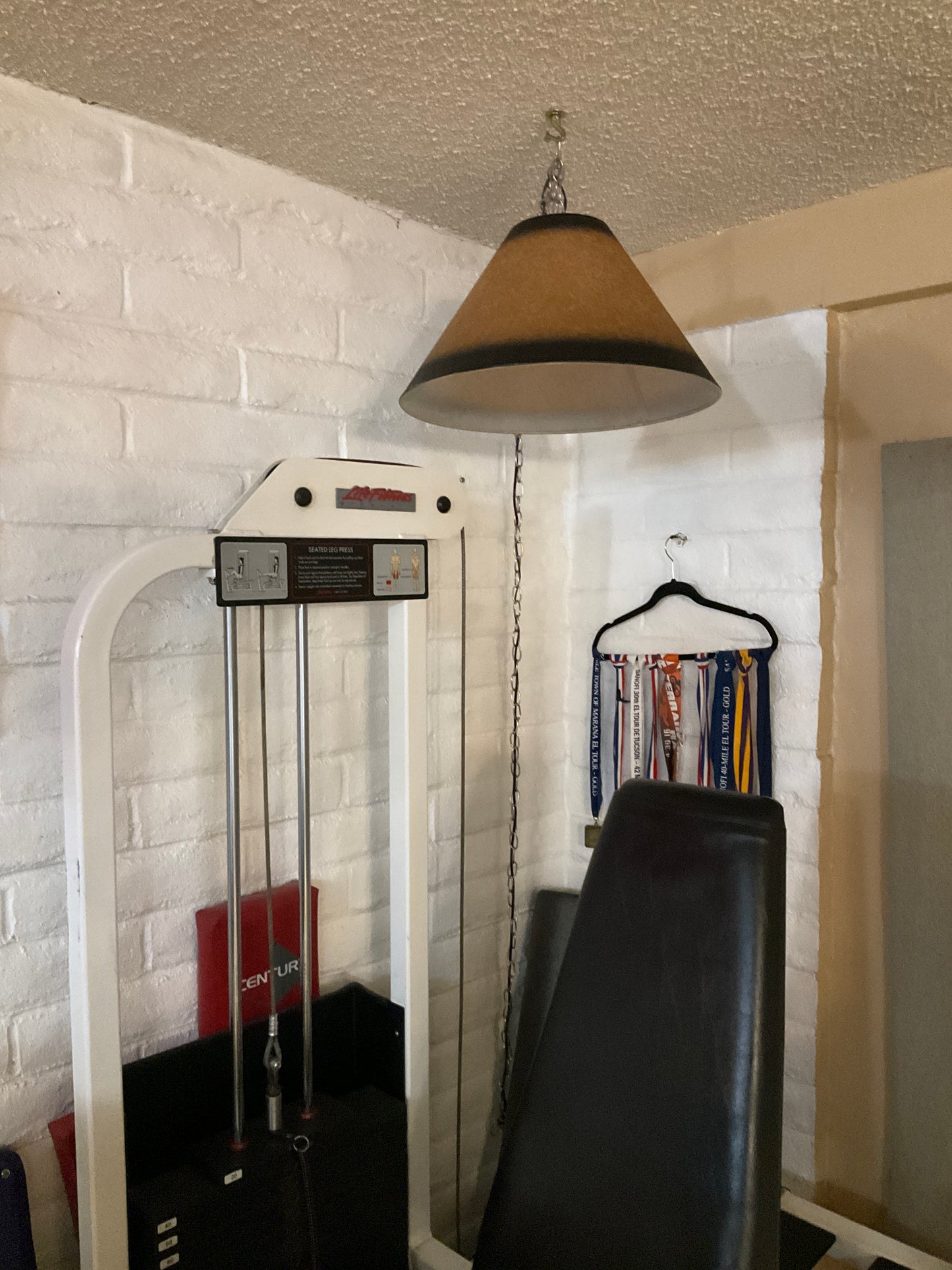 Brighten any space with this  traditional hanging lamp